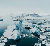 Charity: EarthKind Collective cover image