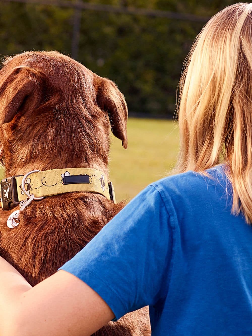 A cropped, over-the-shoulder view of a person with blonde hair, wearing a blue t-shirt, who is gently hugging a large brown dog. The dog is looking away from the camera, and its yellow collar with a bee pattern is visible.